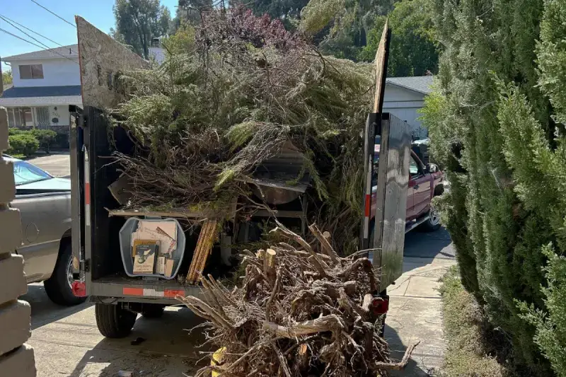 Professional Junk Hauling