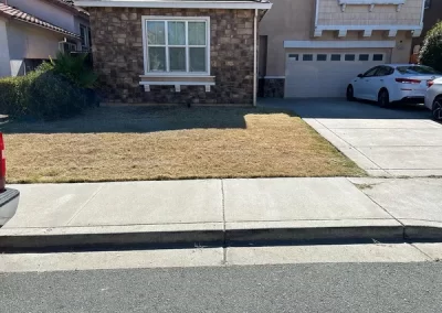 Professional Trash Removal Company