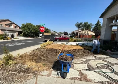 Professional Trash Removal Company