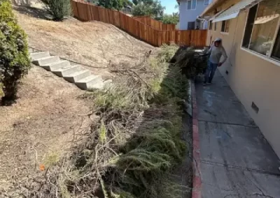 Professional Trash Removal Company