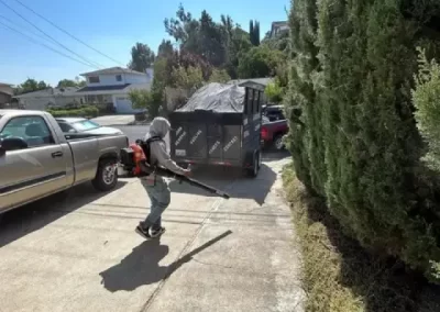 Professional Trash Removal Company