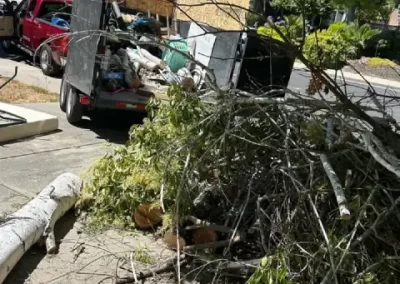 Professional Trash Removal Company
