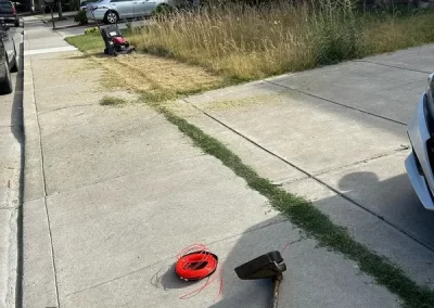 Professional Trash Removal Company