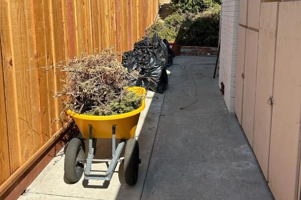 Roca Junk Removal & Hauling's other services