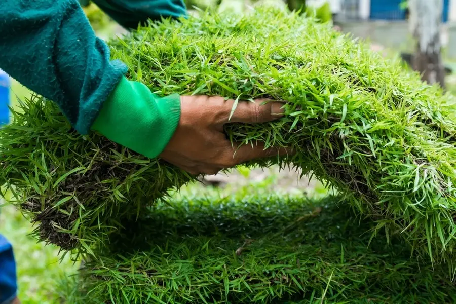 Grass Installation